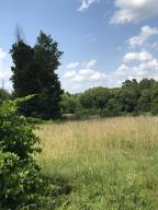 Over 24 acres nearly touching Delaware Bay. Artesian well and pond along with on site electric makes for a perfect spot to build or park your camper while you enjoy many of Lake Dardanelle's activities.