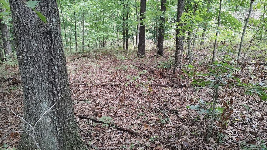 Great location in the Kinloch Subdivision! Very close to Lake Loch Lomond, Highlands Golf Course and Country Club. Enjoy all the amenities that Bella Vista offers. A perc test has already been completed for a 2-bedroom home.