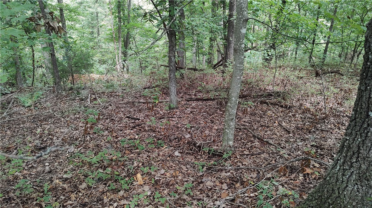 Kinloch Sub Bvv - Land