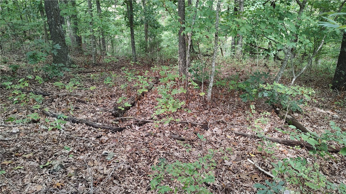 Kinloch Sub Bvv - Land