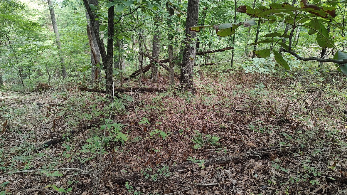 Kinloch Sub Bvv - Land