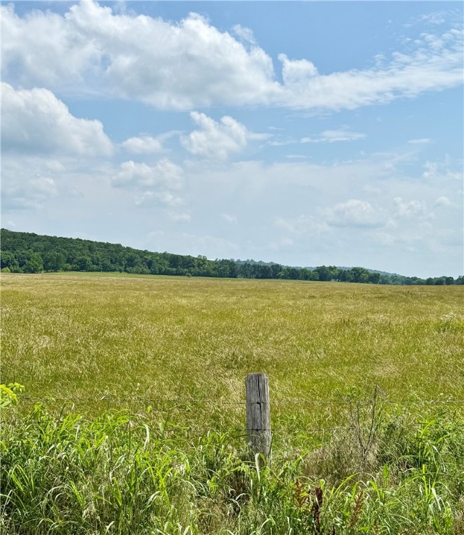 40 Acres of beautiful, all open pasture land with 2 ponds! Come build your dream home. Live in the country yet have elbow room. Level land. Septic needed. Acreage can be purchased in smaller tracts - see ML# 1309805-1309808. Agent owned.