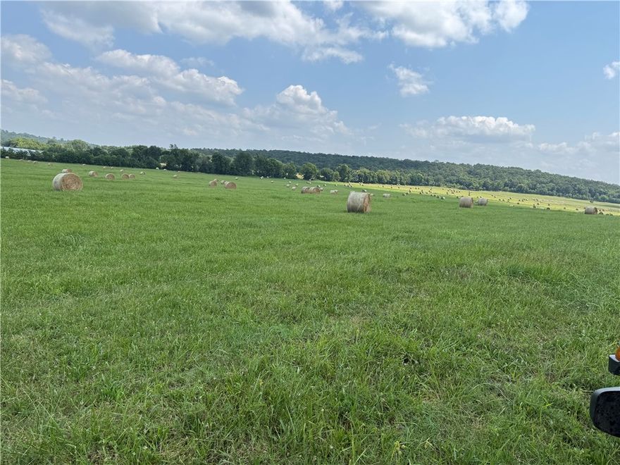 40 Acres of beautiful, all open pasture land with 2 ponds! Come build your dream home. Live in the country yet have elbow room. Level land. Septic needed. Acreage can be purchased in smaller tracts - see ML# 1309805-1309808. Agent owned.