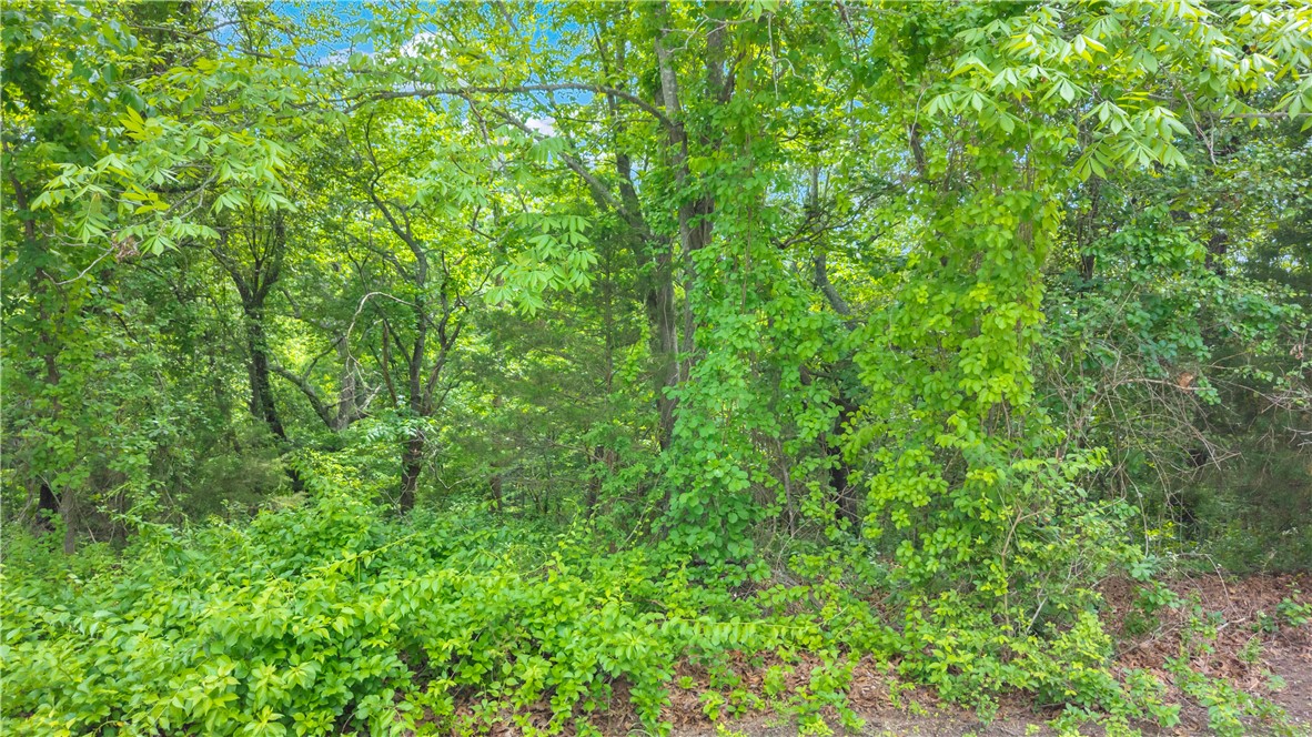 Wedington Woods Unit III - Land