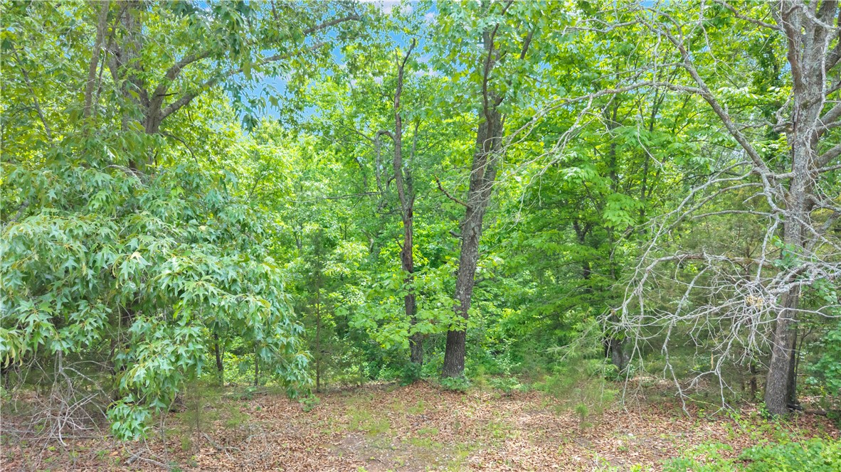 Wedington Woods Unit III - Land