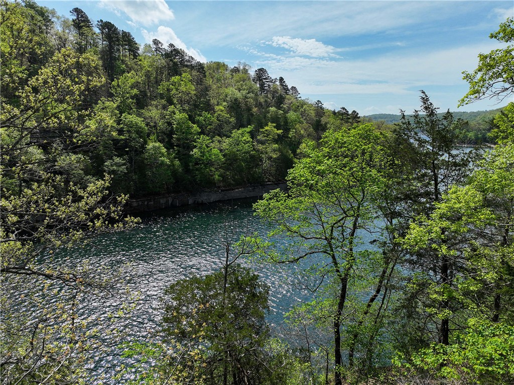 SHORECLIFF EST #1 - Residential