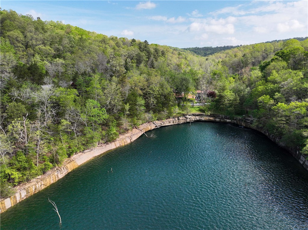 SHORECLIFF EST #1 - Residential