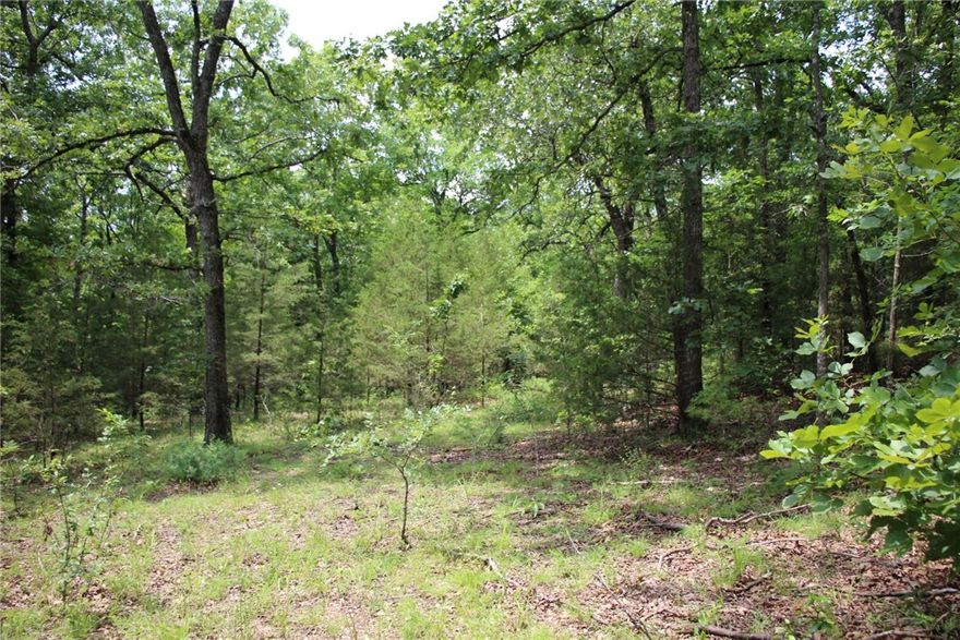 Secluded 9.26 acres joining the corp of engineer’s land. This property has an old driveway to a fallen in metal building that could be scrapped or reused. Walk to the Bull Shoals Lake from your property or drive to the boat launch just a few miles away.
