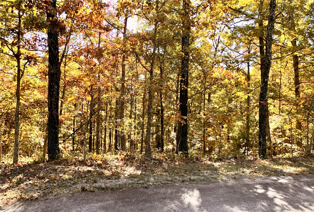 Flint Sub Bvv - Land