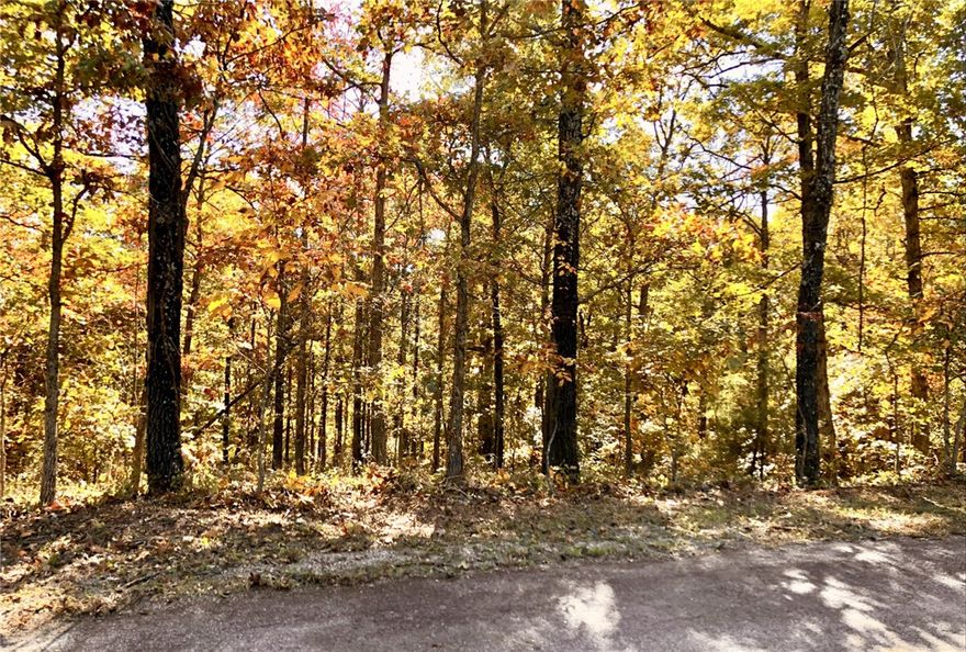 Perc test already completed on this beautiful gently sloping lot, offering a nice opportunity to build in a Bella Vista desirable setting. POA land borders two sides, creating added privacy and a peaceful natural backdrop. Outdoor enthusiasts will love the close proximity to the renowned Back 40 trail system, with a trailhead just down the street — perfect for mountain biking, hiking, and exploring the scenic Ozarks right from your doorstep. Located in the highly regarded Bentonville School District. Minutes to multiple lakes, creek, golf courses, mini golf, disc golf, recreation centers, tennis, pickleball, swimming pools, parks, Blowing Springs, Tanyard Creek and the new OZ Trails Bike Park with chairlift!
