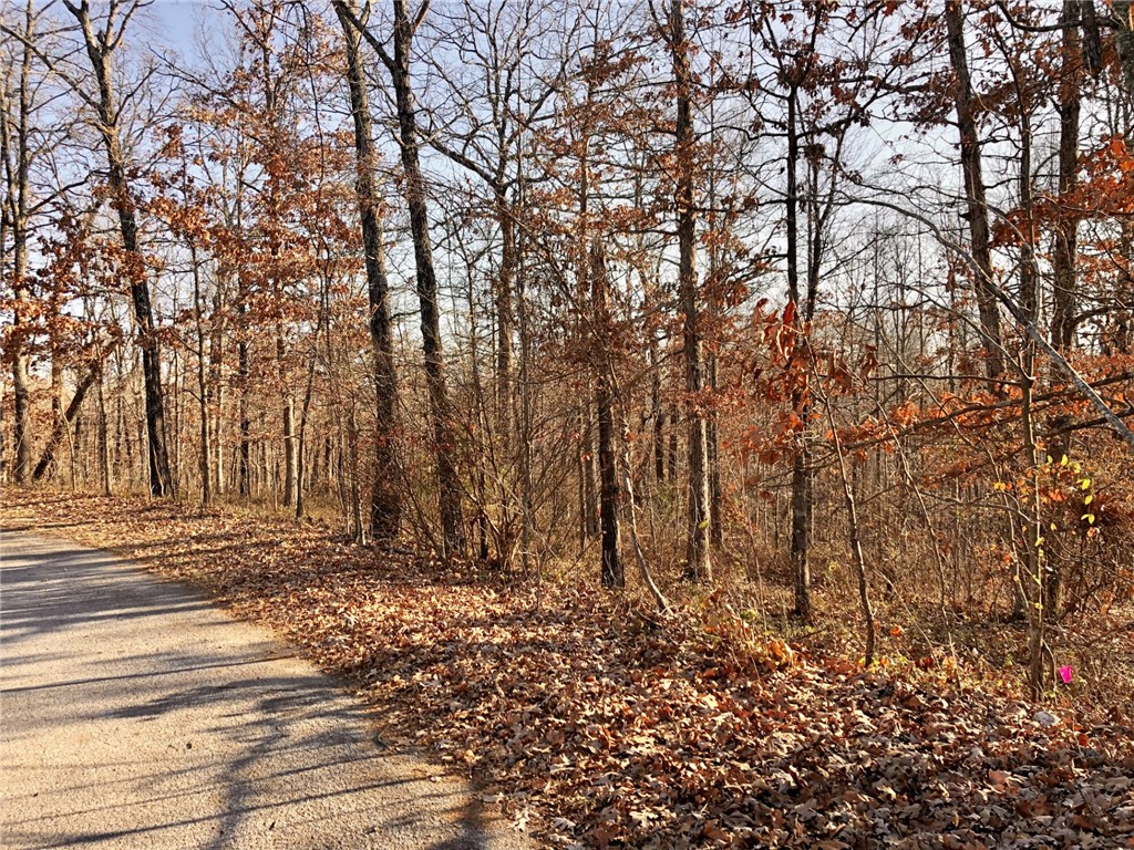 Flint Sub Bvv - Land