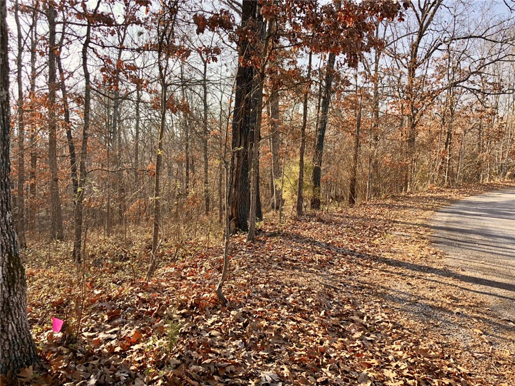 Flint Sub Bvv - Land