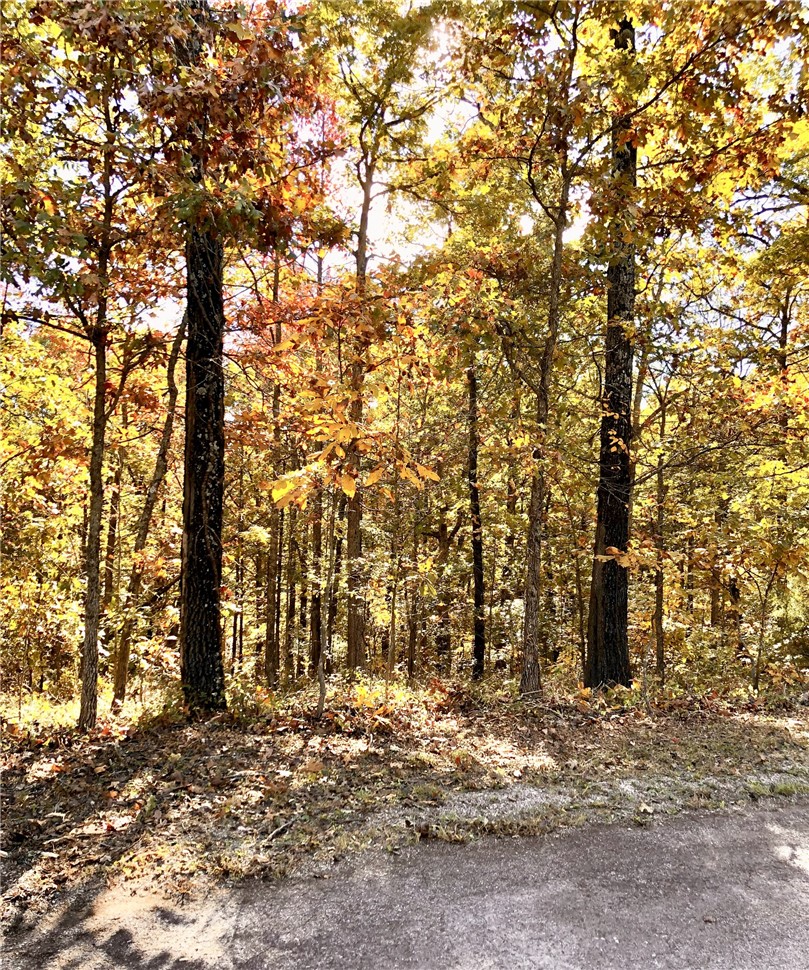 Flint Sub Bvv - Land