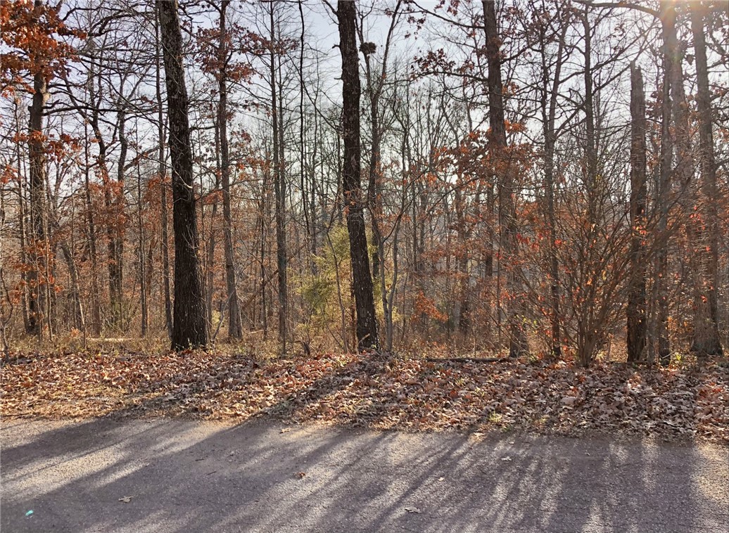 Flint Sub Bvv - Land