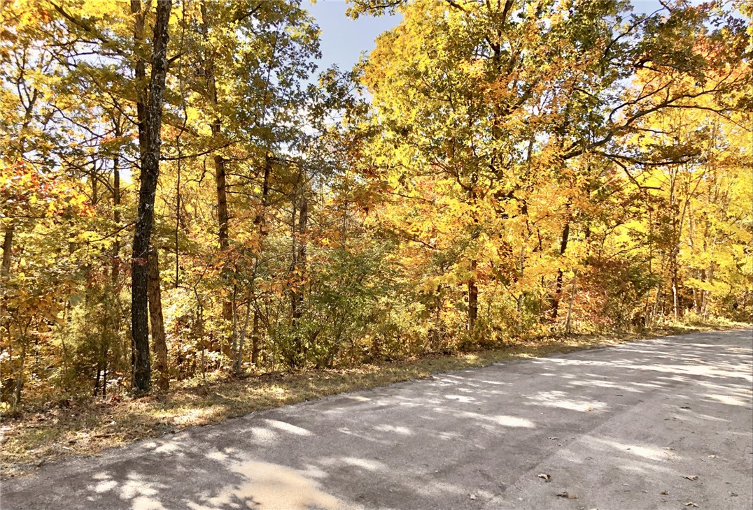 Flint Sub Bvv - Land