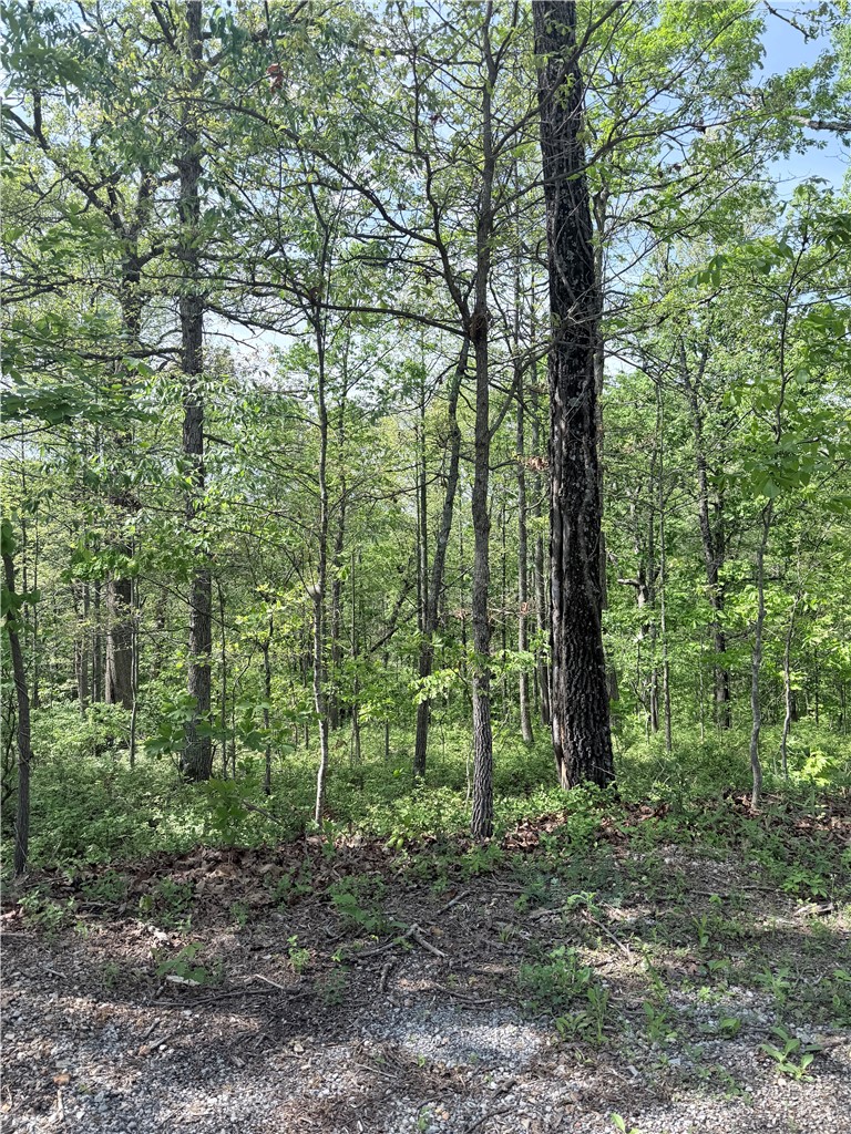 Flint Sub Bvv - Land