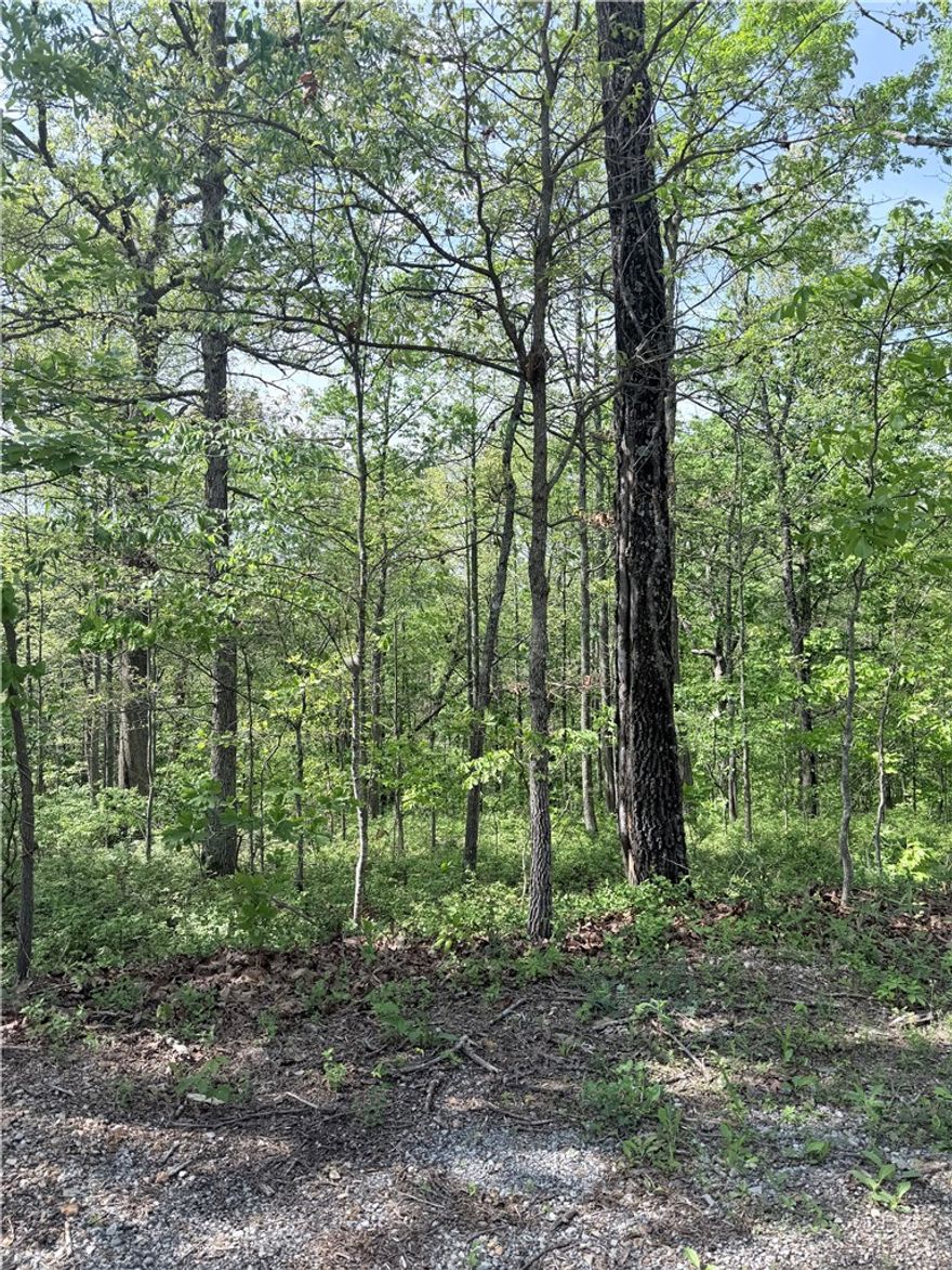 Perc test has already been completed on this nearly flat lot! POA property borders two sides. A lot this special does not come up often...Outdoor enthusiasts will love the easy access to the Back 40 trail system, with a trailhead just down the street- perfect for biking, hiking, and enjoying the scenic Ozarks right from your doorstep. Come take a drive to Nantwich Circle, you will quickly fall in love with its charm. Bentonville schools.