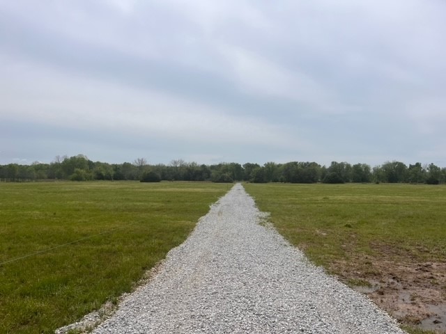 No - Land