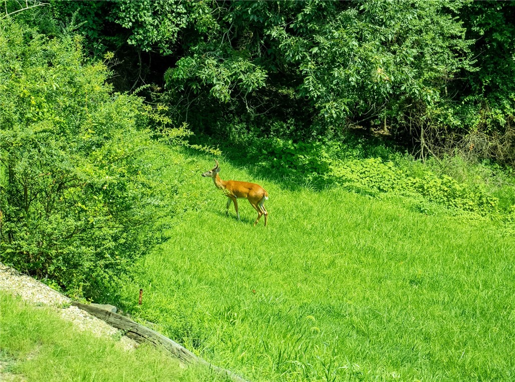 330 Dutchmans Condo - Residential