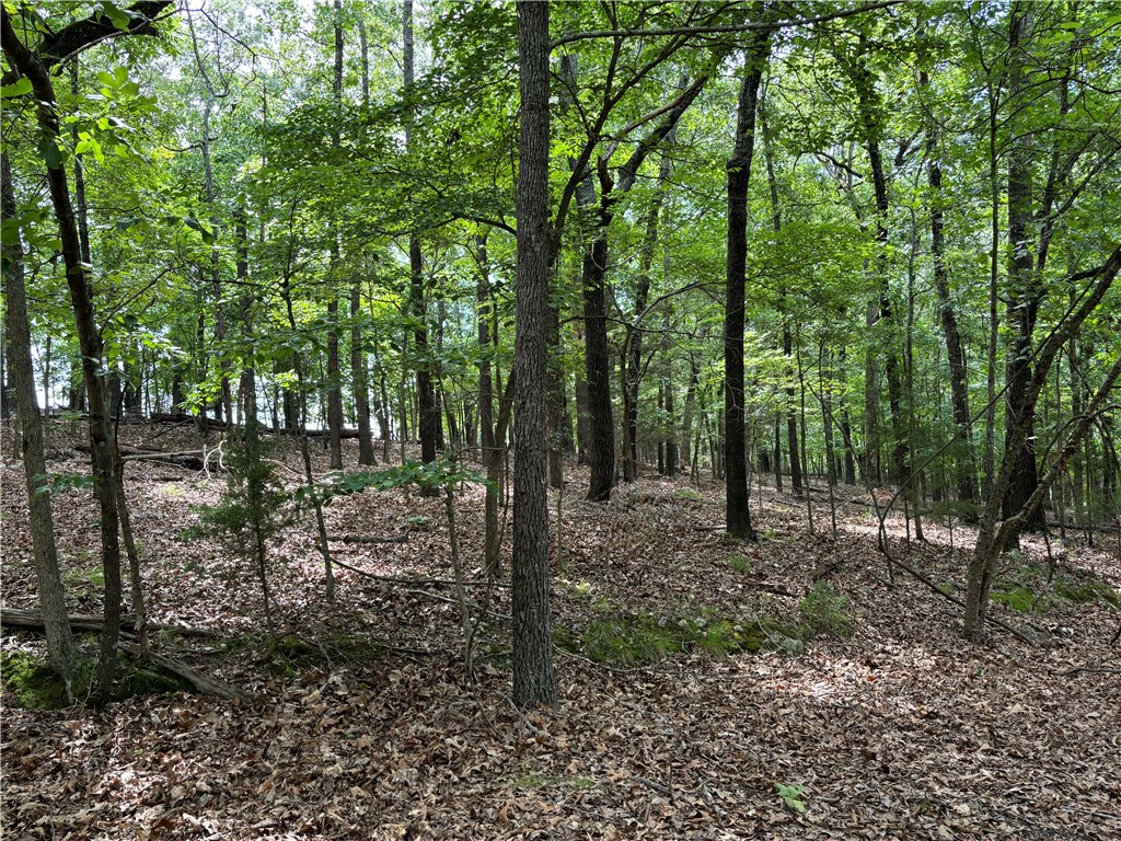 River View Terrace Resub - Land