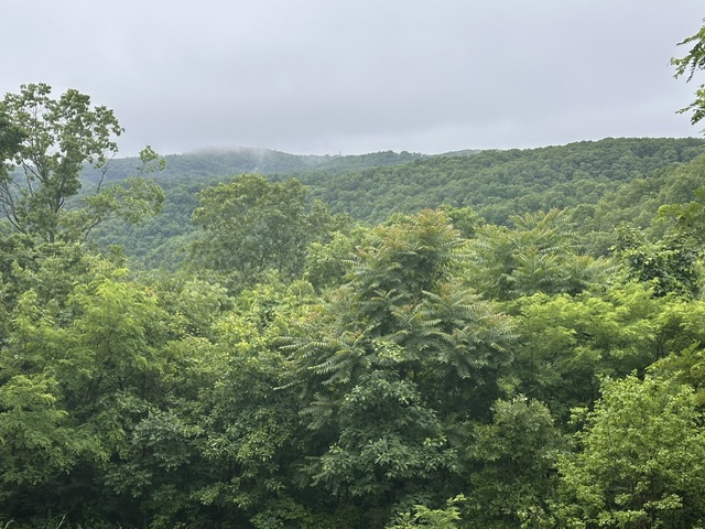 Whippoorwill Estates - Residential