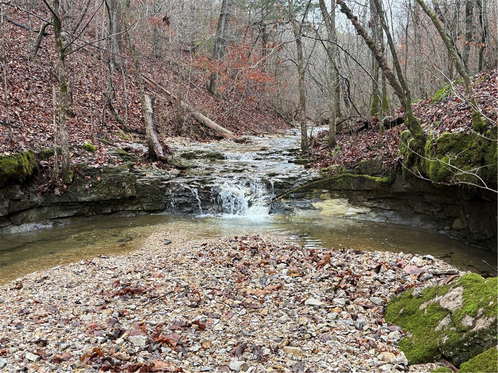 Nestled in the heart of the Ozarks, this 22-acre parcel of wooded land offers the perfect blend of privacy, natural beauty, and endless possibilities. Surrounded by lush forests, towering trees, and native wildlife, this property provides a peaceful retreat for those seeking a tranquil escape from the hustle and bustle of everyday life.
Located just minutes from the charming town of Eureka Springs, known for its vibrant arts scene and historic architecture, this land is ideal for a variety of uses. Whether youāre looking to build your dream home, create a private getaway, or explore outdoor recreational activities, this property is a blank canvas awaiting your vision.
Property does have a few structures, including a metal building with power, shipping container, and a few smaller sheds.
