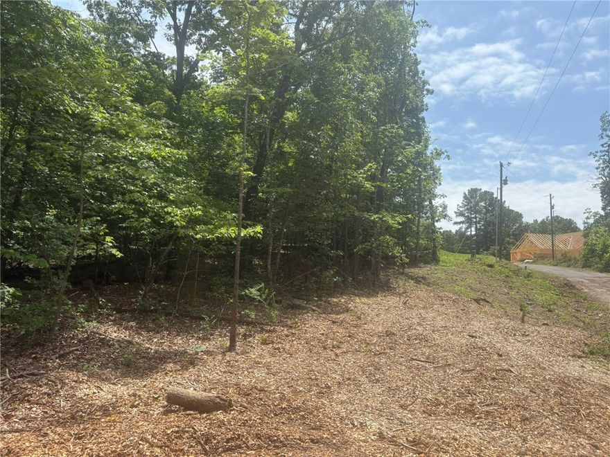 A perfect lot in a growing neighborhood. Enjoy Bella Vista living at its best!