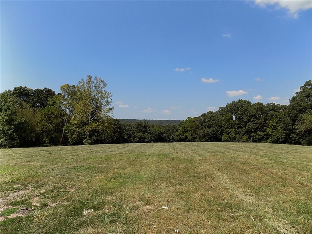 Incredible setting for your dream home lots of space to enjoy. Property includes a 30 x 50 shop building on the property that is wired and includes a 14' door for your RV & a 50 amp power source.