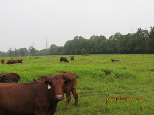 22+/- Acres
