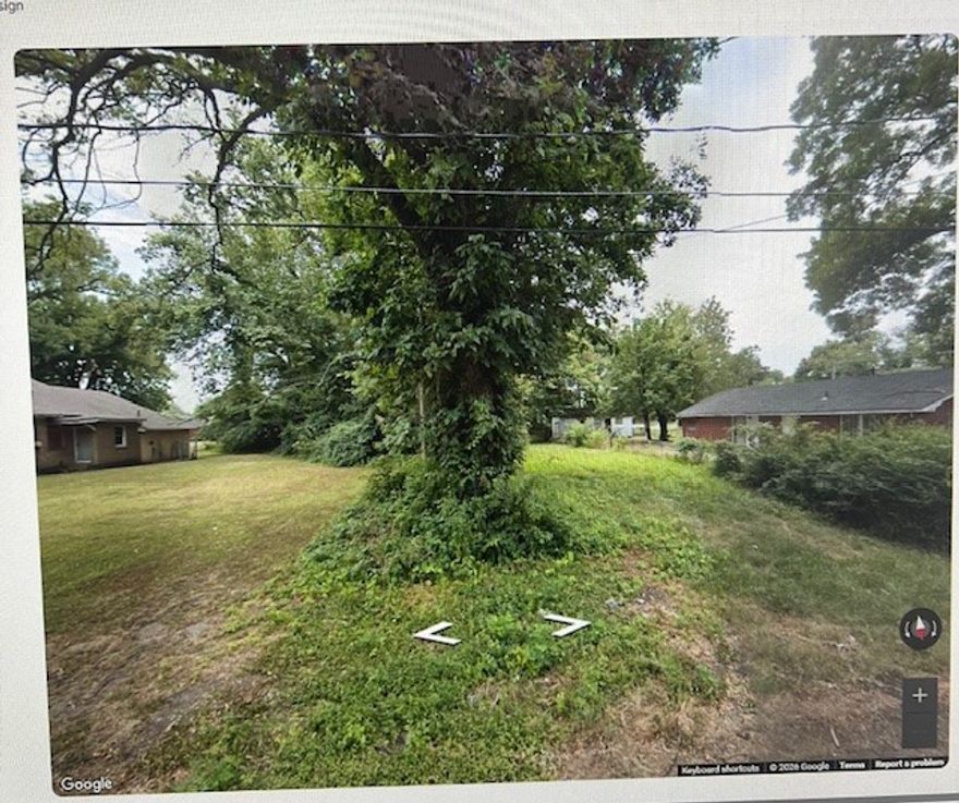 Perfect building lot ready to clear and build on. Utilities at the street. Located a few blocks from Williams Park.