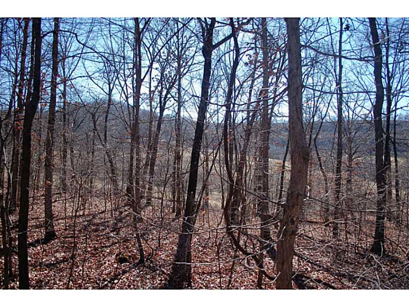 Lovely building spot. Nice Views, level land with electric and a well on site. Build a cabin, home or set up a mobile home. Close to the blacktop for easy access. Lots of privacy, wildlife and solitude. Perfect spot to enjoy life, Mother Nature