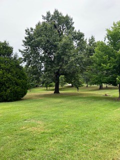 Springdale Outlots - Residential