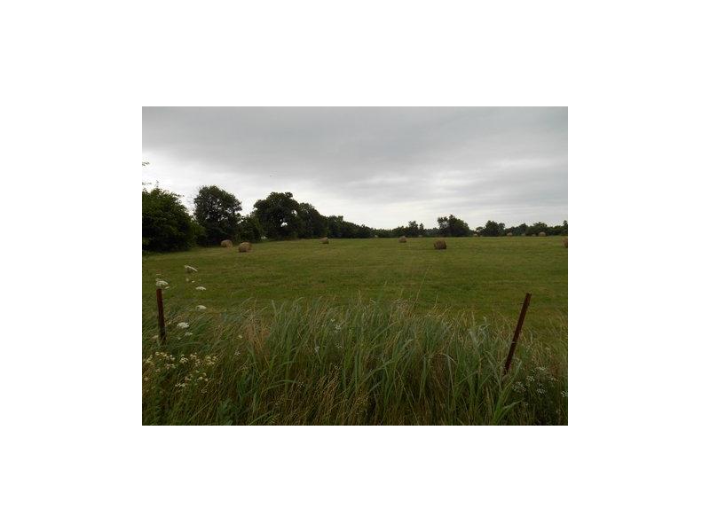 Bethel Heights - Commercial Sale