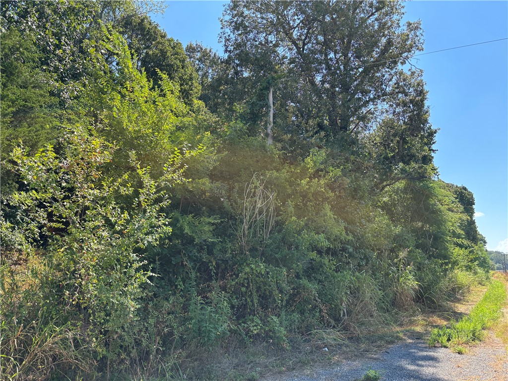 2 acres adjoining Harrison City limits on Vine Road. This is a steep hillside but will have some development possibilities for the right person. Buyer to verify availability of utilities.