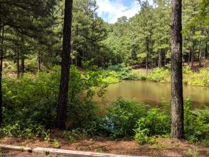 A lil' piece of heaven nestled just outside Russellville waiting for your new home! This 2 acre lot boasts a pond and trees providing privacy and natural beauty all around. See documents for building restrictions.