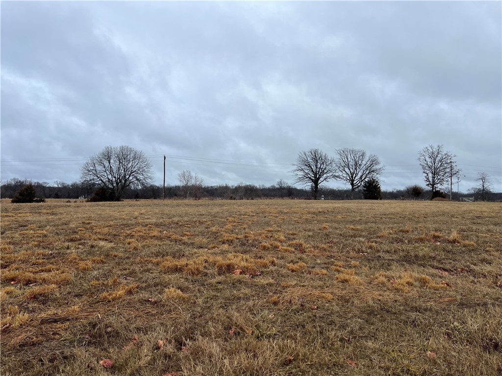 This is a cleared, nearly level 3 acre lot with rural water at the road and electric on site. Land perc'd easily for a 4 bedroom home. Perfect for building your dream home, shop house or barndominium.