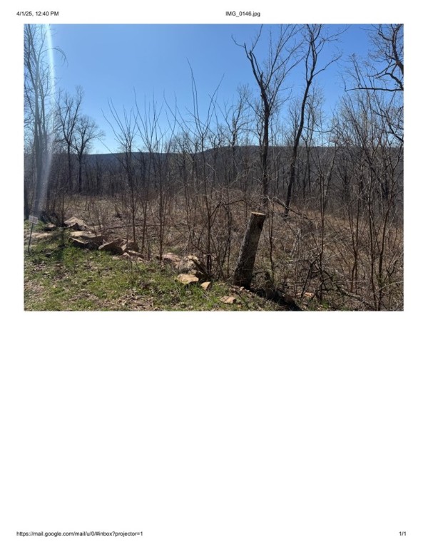 Round Mountain Estates - Land