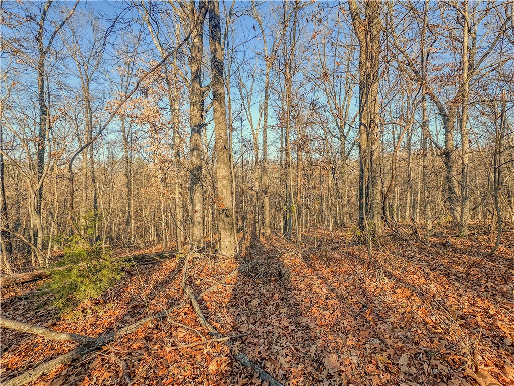 Bedford Sub Bvv - Land