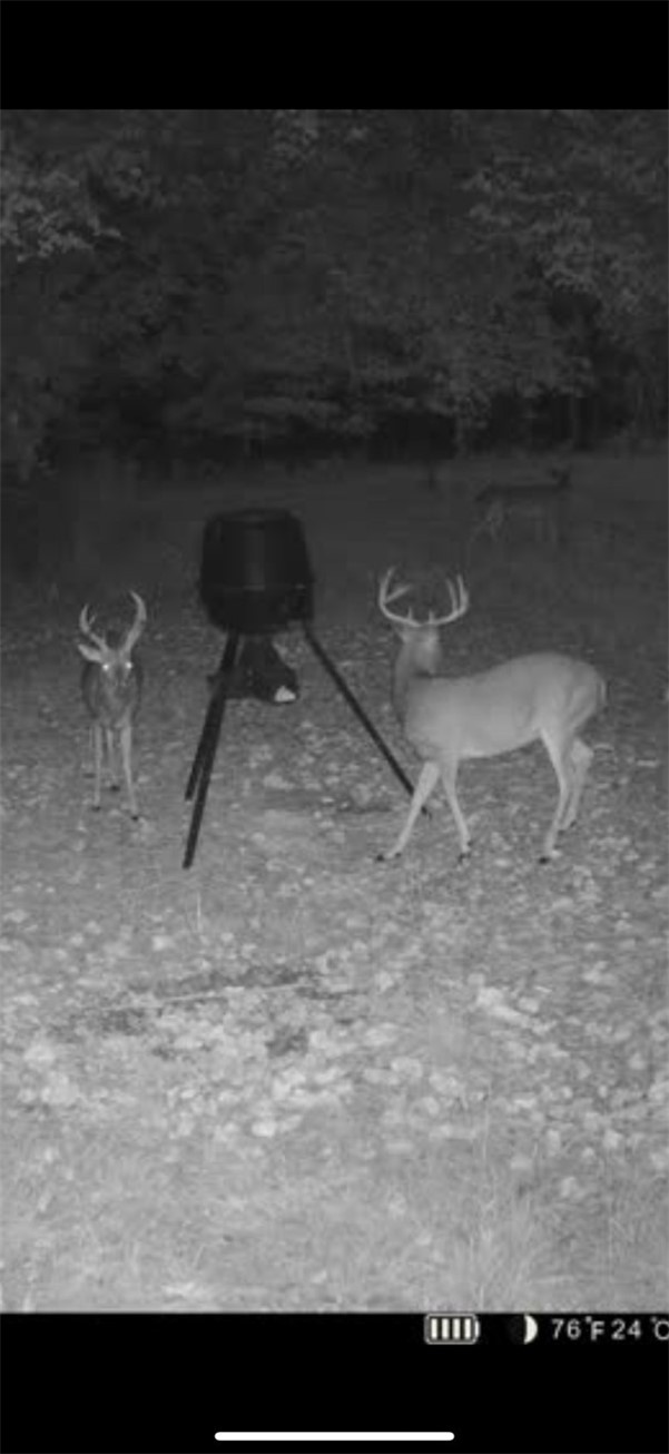 10-19-32-RURAL - Land