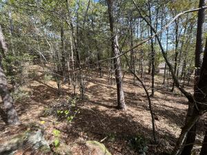 Lakeridge Estates - Land