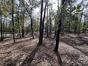 Lakeridge Estates - Land