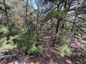 Lakeridge Estates - Land