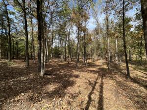 Looking for that perfect spot to build? Don't miss out on this lot in the beautiful Lake Ridge Estates. Location is the key! Outside of the city limits, but less than 1/2 a mile away from I-40 and just 1 mile away from Lake Dardanelle! This property has a country feeling, but is only minutes away from the city of Russellville. My favorite part is that the future owner will have resident exclusive access to 8 acres of community land on one of the most interesting rock formations I've ever seen.