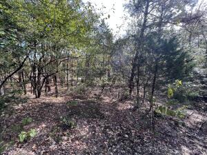 Lakeridge Estates - Land