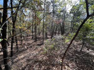 Lakeridge Estates - Land
