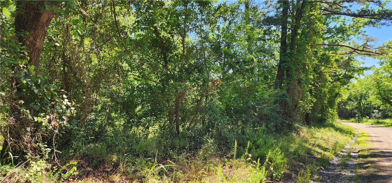 Sulphur Springs - Land