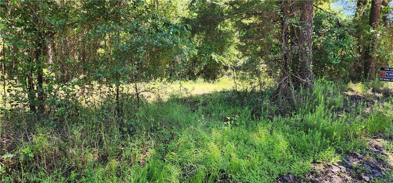 Sulphur Springs - Land