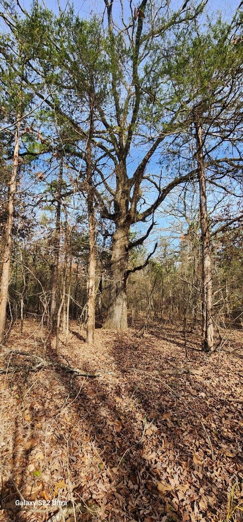 Sulphur Springs - Land