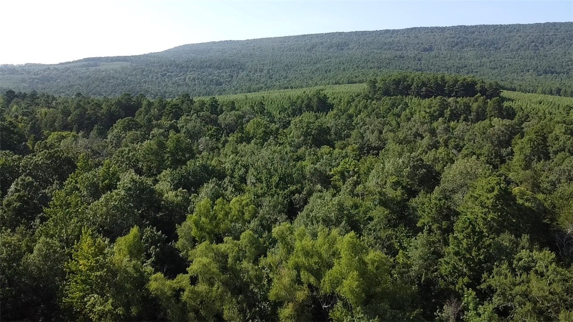 Sulphur Springs - Land
