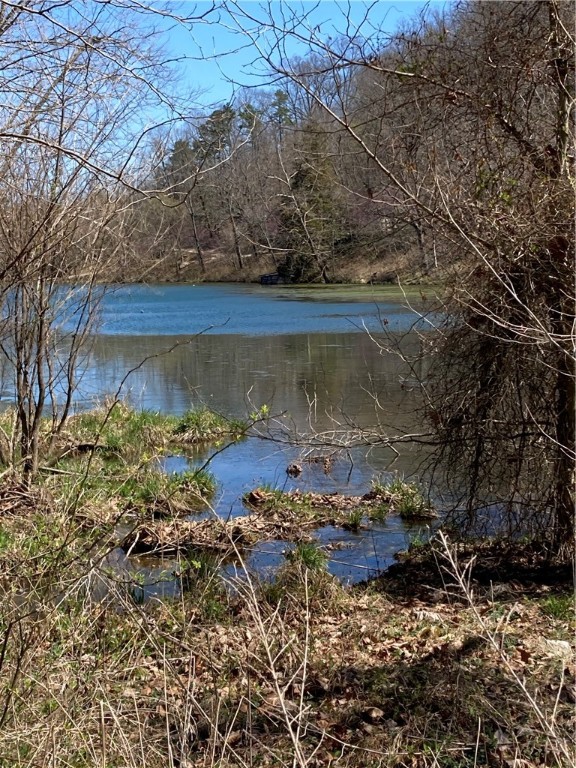 Building site just outside city limits on CR 317. Part of Lake Lucerne Cabins, Lot 10. Has a wet weather creek near county road, home site would be at back of Lot. Will be subject to available septic plan by engineer. City Water is available.